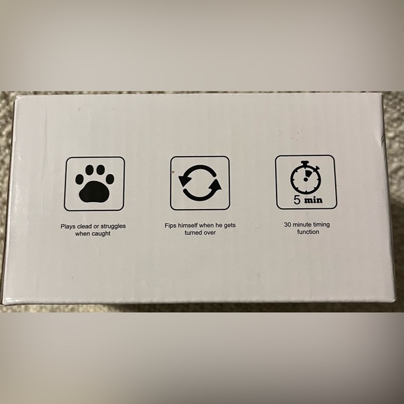 Magic Tail Cat Toy Catch Me If You Can for Indoor Cats With Light & Feathers NEW - Picture 4 of 4